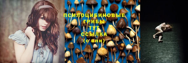 шишки Алексеевка