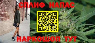 бошки Бердск