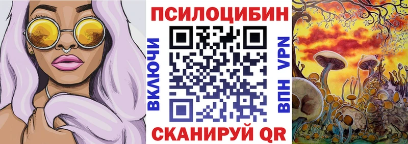 Галлюциногенные грибы Psilocybine cubensis  Уфа 