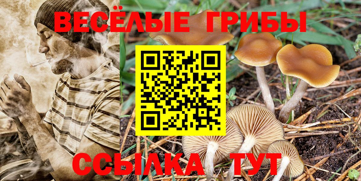 Галлюциногенные грибы Psilocybine cubensis  Вход с VPN  Галлюциногенные грибы MAGIC MUSHROOMS  Уфа 
